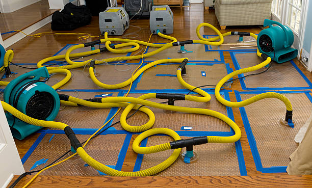 Professional Crawl Space Water Removal technician working in Templeton, CA